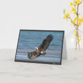 上陸する許可 カード (黄色い花)