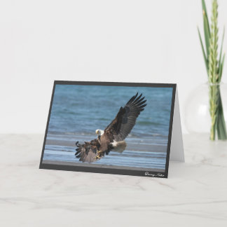 上陸する許可 カード