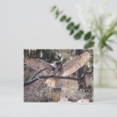 上陸素晴らし角フクロウ ポストカード (スタンド正面)