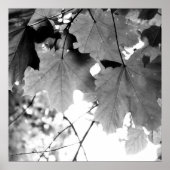 上 ポスター (正面)