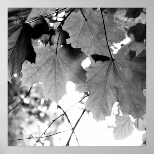 上 ポスター (正面)