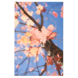 上、上、木々の中 メタルプリント