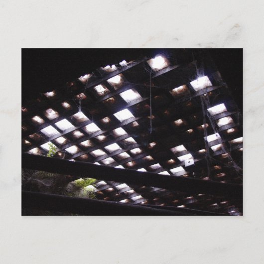 下からの歩道の天窓 ポストカード (正面)