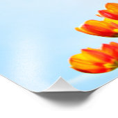 下からオレンジと赤のチューリップ フォトプリント            (角)