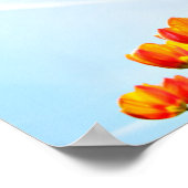 下からオレンジと赤のチューリップ ポスター (角)