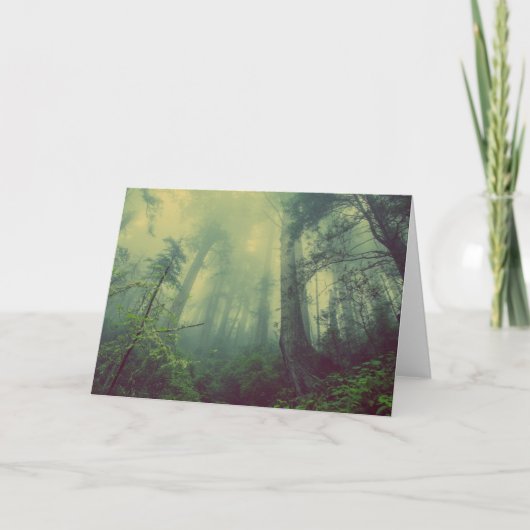 下から森 カード (正面)