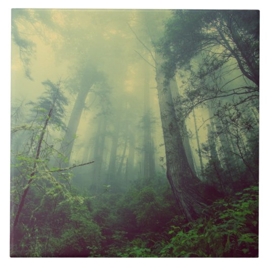 下から森 タイル (正面)