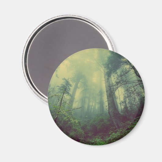 下から森 マグネット (正面/裏面)