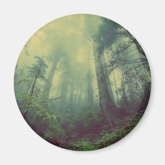 下から森 マグネット (正面)