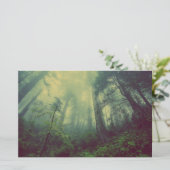 下から森 便箋 (スタンド正面)