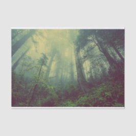 下から森 薄葉紙