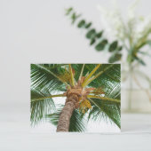 下から見たパームツリー ポストカード (スタンド正面)