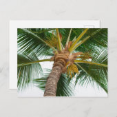 下から見たパームツリー ポストカード (正面/裏面)