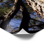 下から見る青空に続く巨大な続編 ポスター (コーナー)