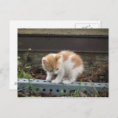 「下には何があるの?」 ポストカード (正面/裏面)