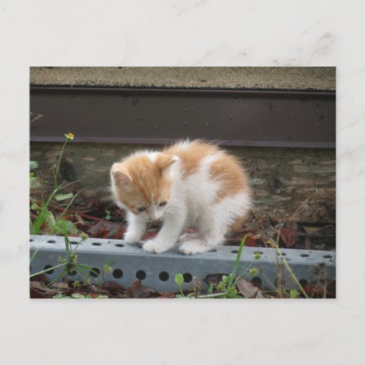 「下には何があるの?」 ポストカード (正面)