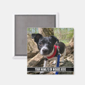 下にカスタマイズされた写真モダン マグネット (正面/裏面)