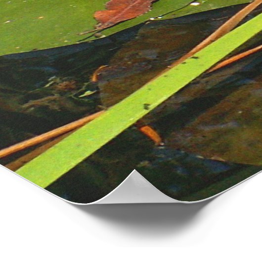 下に何が？ ポスター (角)