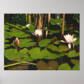 下に何が？ ポスター (正面)