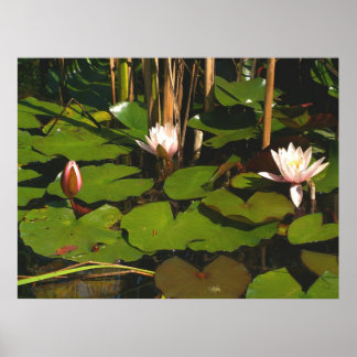 下に何が？ ポスター