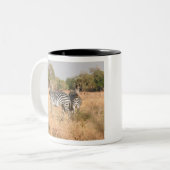 下のザンベジで注目されている一対のシマウマ ツートーンマグカップ (正面左)