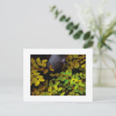 「下のリーフ・レベル」 ポストカード (スタンド正面)