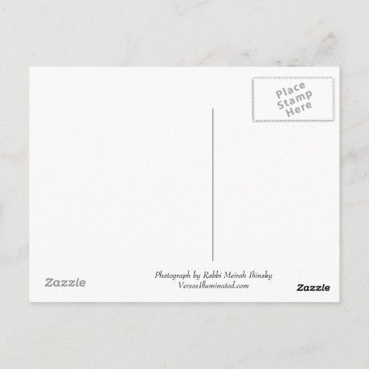 下の各つる植物とイチジクの木 ポストカード (裏面)