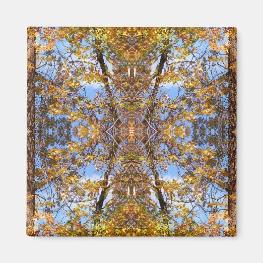 下の通り... マグネット (正面)