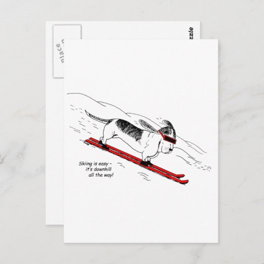 下りおもしろい坂スキー犬はがき ポストカード (正面/裏面)