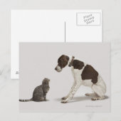 下を見つめるポインターと猫 ポストカード (正面/裏面)