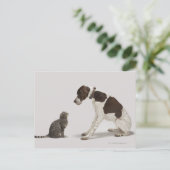 下を見つめるポインターと猫 ポストカード (スタンド正面)