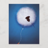 下を見ない ポストカード (正面)