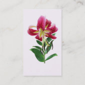 下を見下ろすサルガーリリー 名刺 (裏面)