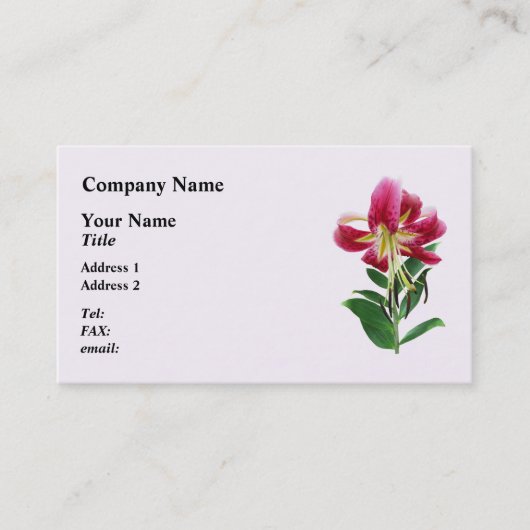 下を見下ろすサルガーリリー 名刺 (正面)