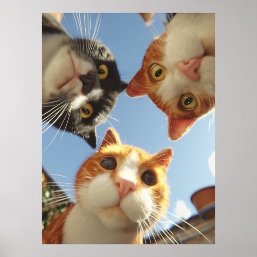 下を覗く好奇心旺盛な猫たち ポスター (正面)