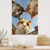 下を覗く好奇心旺盛な猫たち ポスター (キッチン)