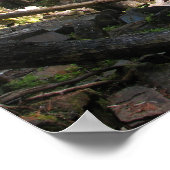 下位ジョンソン秋 ポスター (角)