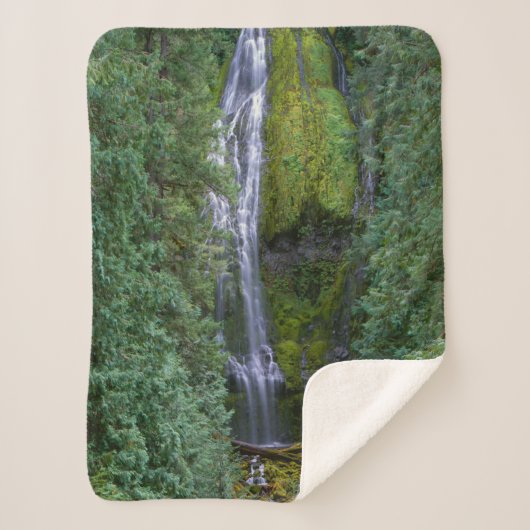 下位プロキシ秋 | Willamette国有林 シェルパブランケット (正面)