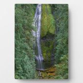 下位プロキシ秋 | Willamette国有林 フォトプラーク (正面)