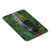 下位プロキシ秋 | Willamette国有林 マグネット (右側)