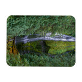 下位プロキシ秋 | Willamette国有林 マグネット (横)