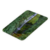 下位プロキシ秋 | Willamette国有林 マグネット (左側)