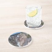 下位滝 コースター (側面)