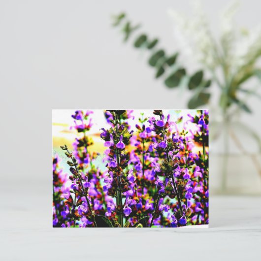 下劣な人 ポストカード (スタンド正面)