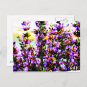 下劣な人 ポストカード (正面/裏面)