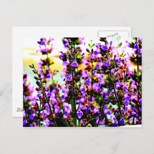 下劣な人 ポストカード (正面/裏面)