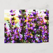 下劣な人 ポストカード (正面)