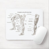 下半身の筋肉 マウスパッド (マウス)