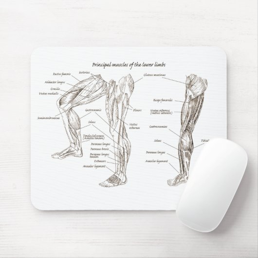 下半身の筋肉 マウスパッド (マウス)