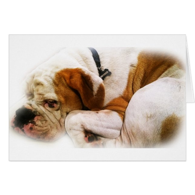 下向きの犬 (正面横)